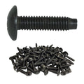 10-32 Truss Rack Screws | Black | 100 Pack | RackGold by RackGold