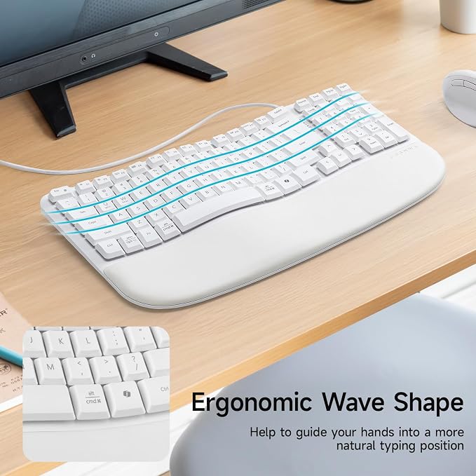 SANWA Wired Ergonomic Keyboard, Curved Wave Keyboard with Cushioned Wrist Rest, Compact Full-Size Layout, USB-A & C Port, 13 Shortcuts Keys, Natural Typing, Compatible with Win/Mac, Laptop, PC, White - Image 2
