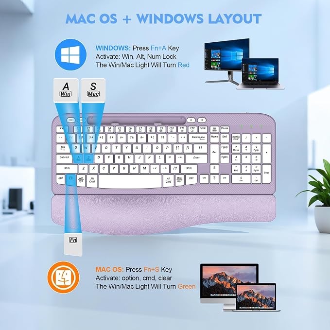 EAYBLLY 2.4G Wireless Ergonomic Keyboard, Full Size Wave Keys with Memory Foam Wrist Rest & 7.28in Phone Holder, USB-C Adapter Included for Windows Mac Chrome OS, Office or Home (Purple) - Image 6