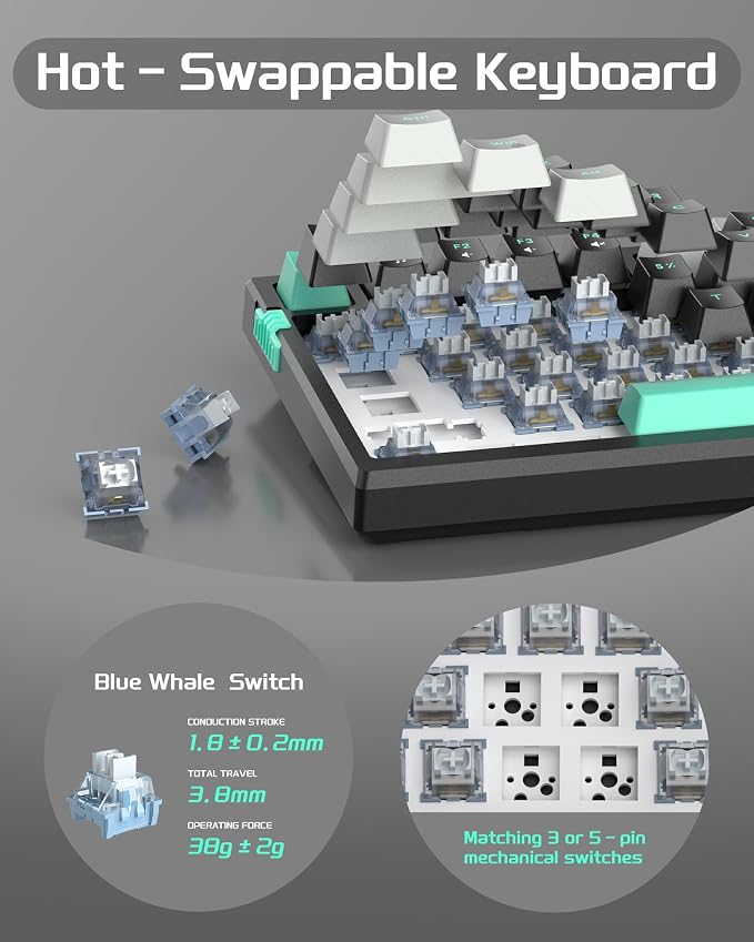 MageGee SKY81 75% Mechanical Gaming Keyboard, Gasket Hot Swappable Wired Custom Creamy Keyboard with 5-Layer Sound Dampening, Knob Control, RGB Backlit, NKRO for Win/Mac (Dark Elf, Blue Whale Switch) - Image 4