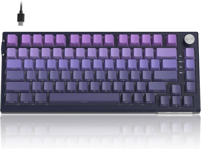 MageGee SKY81 75% Mechanical Gaming Keyboard, RGB Hot Swappable Wired Custom Creamy Keyboards with 5-Layer Sound Dampening, Knob, Side Printed Keycaps for Win/Mac (Dark Purple, Blue Whale Switch) - Image 7