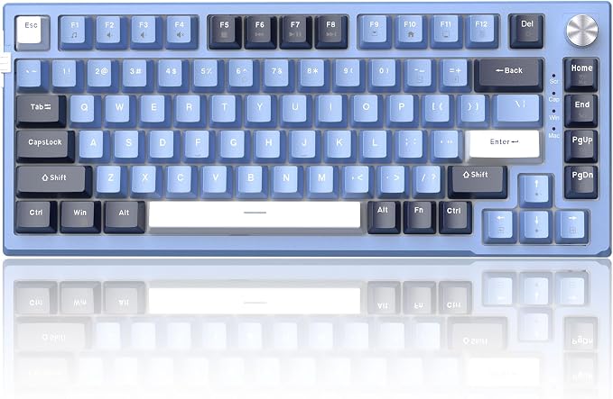 MageGee SKY81 75% Mechanical Gaming Keyboard, Gasket Hot Swappable Wired Custom Creamy Keyboard w/ 5-Layer Sound Padding, Knob Control, RGB Backlit, NKRO for Win/Mac (Prussian Blue, Blue Whale Switch) by MageGee