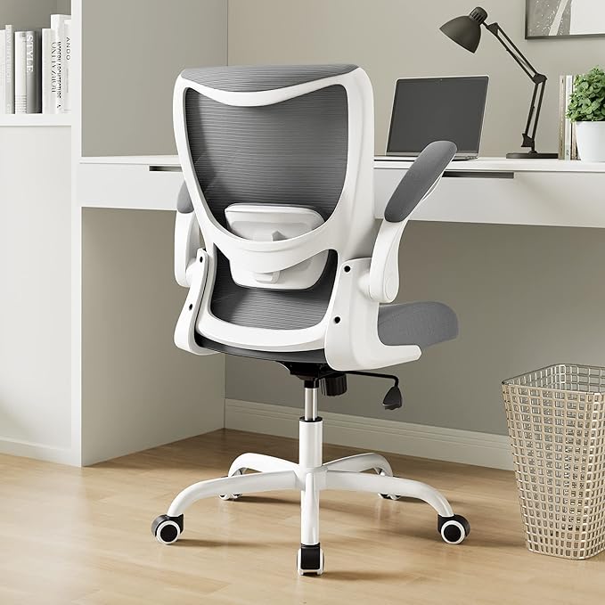 Office Chair, Ergonomic Desk Chair with Adjustable Lumbar Support and Flip up Armrest, Breathable Mesh Computer Chair for Home Office, Gray by Unknown
