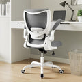 Office Chair, Ergonomic Desk Chair with Adjustable Lumbar Support and Flip up Armrest, Breathable Mesh Computer Chair for Home Office, Gray by Unknown