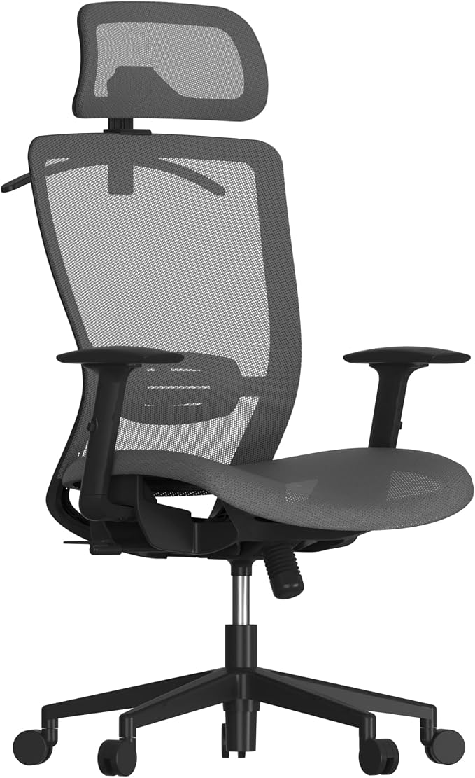 FLEXISPOT Ergonomic Office Chair, High Back Mesh Swivel Computer Chair, Executive Office Desk Chairs, with Adjustable Lumbar Support/2D Headrest/Lockable Backrest, OC3 Air, Gray by Unknown