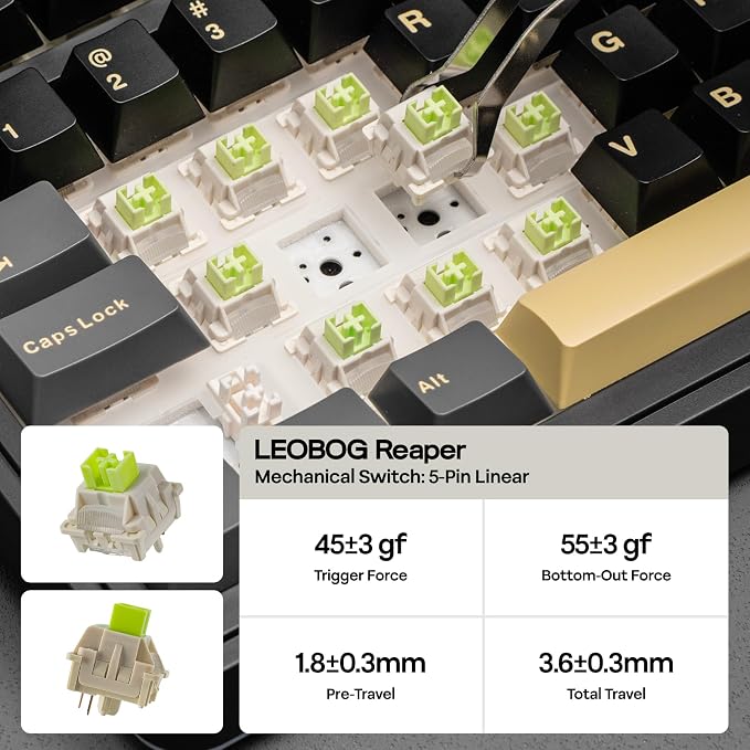 EPOMAKER X Aula EA75 MAX Wireless Gaming Keyboard with Screen & Knob | 5000mAh, Hot-Swap, Lubed Switches, RGB Backlit, Creamy Gasket, 75% Mechanical Keyboard (Black, Reaper Switch) - Image 5