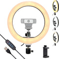 Webcam Light, Ring Light for Logitech Webcam C920,C922x,C930e,Brio 4K,C925e,MX Brio 4K,StreamCam,Brio 500,C615 1/4'' Screw Hole- 10'' Light (Without Tripod and Stand) by AcetakenMount
