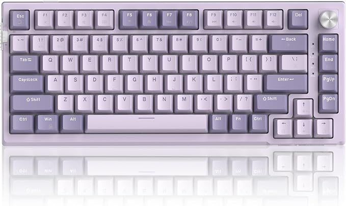 MageGee SKY81 75% Wireless Gasket Mechanical Gaming Keyboard, Hot Swappable RGB Custom Creamy Keyboard w/ 5-Layer Padding, BT/2.4G/USB-C, Knob Control, NKRO for Win/Mac (Dreamy Sky, Violet Switch) by MageGee