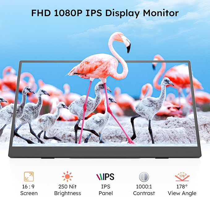 Dopesplay Portable Monitor, 15.6" FHD 1080P IPS Travel Monitor for Laptop, Foldable Magnetic Stand & Carry Case Included, USB-C Screen Extender for Laptop Mac PC Phone Xbox PS4/5 Switch - Image 6