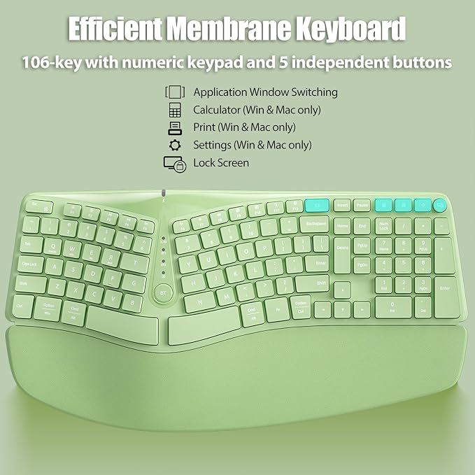 Split Ergonomic Keyboard Wireless with Cushioned Wrist & Palm Rest | Wireless 2.4G/Bluetooth/Wired USB-C, Comfortable Natural Typing, Compatible with Windows/Mac/PC/Laptop, Matcha Green - Image 5