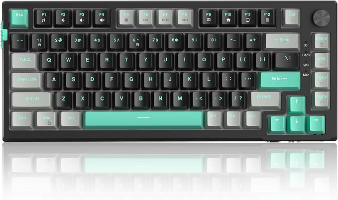 MageGee SKY81 75% Mechanical Gaming Keyboard, Gasket Hot Swappable Wired Custom Creamy Keyboard with 5-Layer Sound Dampening, Knob Control, RGB Backlit, NKRO for Win/Mac (Dark Elf, Blue Whale Switch) by MageGee