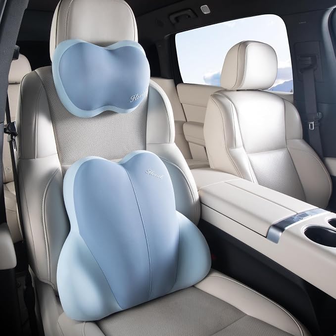 Lumbar Support with Car headrest Back Pillow for Chairs Headrest Pillow for Car Ergonomic Ultrathick Memory Foam Back Pillow for Office Chair (Blue) by FLORICH