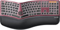 ProtoArc EK01 Plus Backlit Bluetooth Ergonomic Keyboard, Full Size, Red | Adjustable brightness, split design, cushioned wrist rest, connect 3 devices via Bluetooth/2.4G, 2000mAh USB-C rechargeable. by ProtoArc