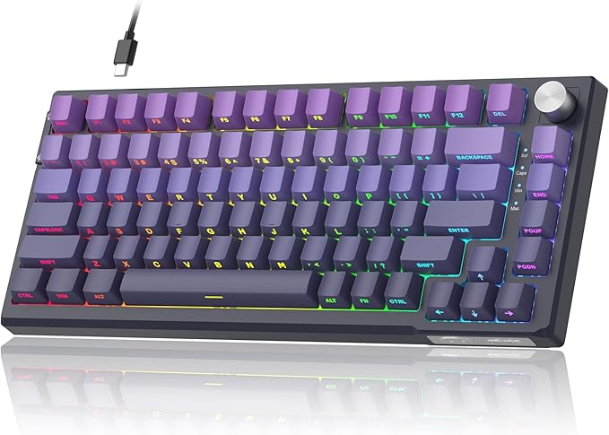 MageGee SKY81 75% Mechanical Gaming Keyboard, RGB Hot Swappable Wired Custom Creamy Keyboards with 5-Layer Sound Dampening, Knob, Side Printed Keycaps for Win/Mac (Dark Purple, Blue Whale Switch) by MageGee