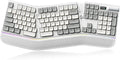 Ergonomic Mechanical Keyboard with Smart Screen & Volume Roller | Wireless 2.4G/Bluetooth/Wired USB-C, 106-Key Low-Profile Switches Hot Swappable RGB LED Backlit, Web-based Programmable, Grey by TISHLED