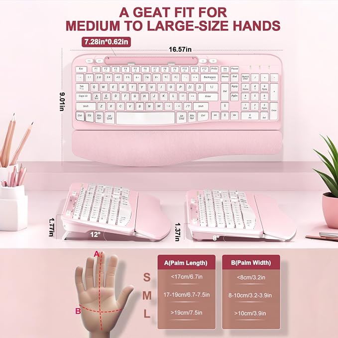 EAYBLLY 2.4G Wireless Ergonomic Keyboard, Full Size Wave Keys with Memory Foam Wrist Rest & 7.28in Phone Holder, USB-C Adapter Included for Windows Mac Chrome OS, Office or Home (Pink) - Image 2