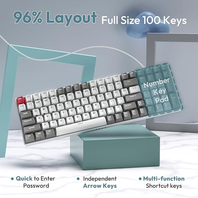 RK ROYAL KLUDGE RK100 Wireless Mechanical Keyboard RGB Backlit Bluetooth5.1/2.4G/Wired 96% Full Size 100-Key Hot Swappable Gaming Keyboard Red Switch Classic - Image 4
