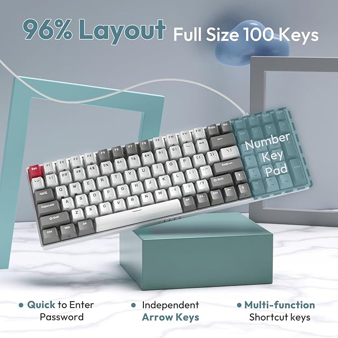 RK ROYAL KLUDGE RK100 Wireless Mechanical Keyboard RGB Backlit Bluetooth5.1/2.4G/Wired 96% Full Size 100-Key Hot Swappable Gaming Keyboard Brown Switch Classic - Image 4