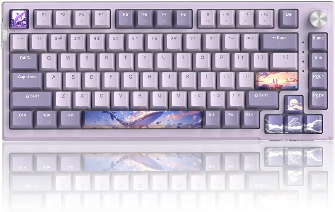MageGee SKY81 75% Wireless Gasket Mechanical Gaming Keyboard, Hot Swappable RGB Custom Creamy Keyboard w/ 5-Layer Padding, BT/2.4G/USB-C, Knob Control, NKRO for Win/Mac (Dreamy Sky, Violet Switch) - Image 8