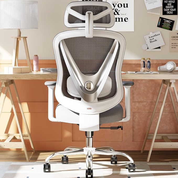 Ergonomic Mesh Office Chair - 3D Adjustable Lumbar Support & 3D Armrests, V-Shaped Back, Adjustable Desk Chair for Office & Home, White by Holludle