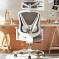 Ergonomic Mesh Office Chair - 3D Adjustable Lumbar Support & 3D Armrests, V-Shaped Back, Adjustable Desk Chair for Office & Home, White by Holludle