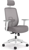 HON Altern Ergonomic Office Chair, Office Desk Computer Chair, Frost | Mesh desk chair with lumbar support, headrest, seat slide, adjustable arms, computer chair for home office productivity by HON
