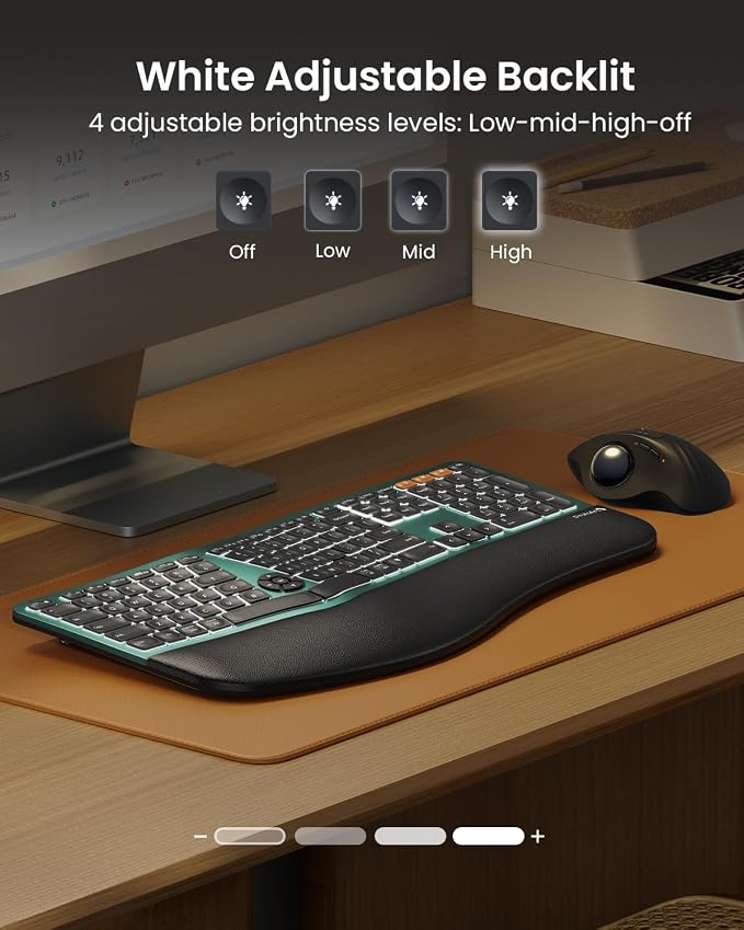 ProtoArc EK01 Plus Backlit Bluetooth Ergonomic Keyboard, Full Size, Green | Adjustable brightness, split design, cushioned wrist rest, connect 3 devices via Bluetooth/2.4G, 2000mAh USB-C rechargeable. - Image 3