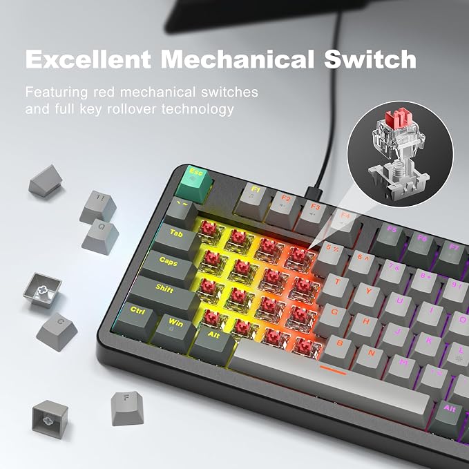 MOFII AK96 Mechanical Gaming Keyboard, Full Keys LED Backlit Programmable, Plug and Play USB A/C Wired Computer Custom Keyboard with Sound/Light Control Knob for Win/Mac - Gray & Black - Image 3