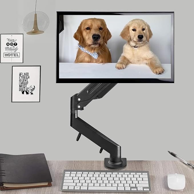 Suptek Single Monitor Arm Fully Adjustable for 17-34-35 Inch Screens | VESA Monitor Mount with Quick Install, Computer Monitor Stand for 32” Monitors, Desk Monitor Mount Holds 24lbs, VESA 75/100mm - Image 2