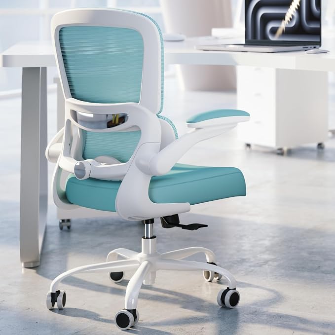 TRALT Office Chair - Ergonomic Desk Chair with Adjustable Lumbar Support, Mesh Computer Chair, Executive Chair for Home Office Comfortable Lumbar Support (1, Mint Green) by TRALT