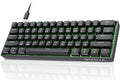 DIERYA 60% Mechanical Keyboard, DK61se Wired Gaming Keyboard with Red Switches, LED Backlit Ultra-Compact 61 Keys Mini Office Keyboard for Windows Laptop PC Gamer Typist（Black） by DIERYA