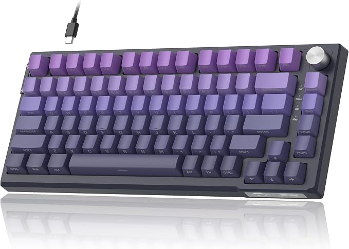 MageGee SKY81 75% Mechanical Gaming Keyboard, RGB Hot Swappable Wired Custom Creamy Keyboards with 5-Layer Sound Dampening, Knob, Side Printed Keycaps for Win/Mac (Dark Purple, Blue Whale Switch) - Image 9