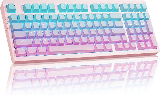 ZORNHER ZH980 Mechanical Keyboard,95% Pink & Blue Creamy Keyboard with Number Pad,Gaming Keyboard Full Size,Shine Through PBT Keycaps,Creamy Sounding Linear Switches by Zornher