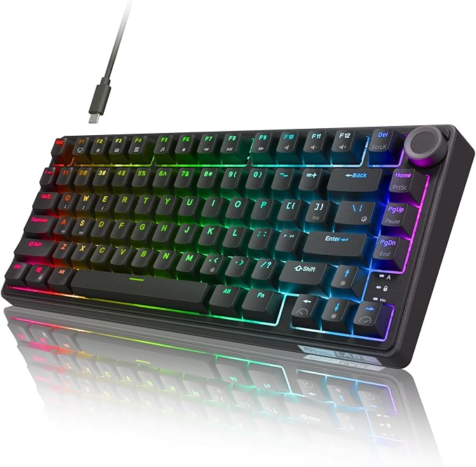 RK ROYAL KLUDGE R75 Wired Mechanical Gaming Keyboard, 75% Hot-Swap Mechanical Keyboard Volume Knob, Soft Pre-lubed Tactile Brown Switch by RKROYALKLUDGE