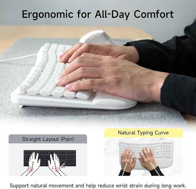 SANWA Wired Ergonomic Keyboard, Curved Wave Keyboard with Cushioned Wrist Rest, Compact Full-Size Layout, USB-A & C Port, 13 Shortcuts Keys, Natural Typing, Compatible with Win/Mac, Laptop, PC, White - Image 3