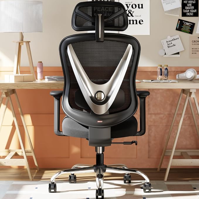Ergonomic Mesh Office Chair - 3D Adjustable Lumbar Support & 3D Armrests, V-Shaped Back, Adjustable Desk Chair for Office & Home, Black by Holludle