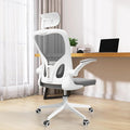 Ergonomic Office Desk Chair High Back Mesh Computer Chair Adjustable Chair | 360° Swivel Adjustable Lumbar Support & Flip-Up Armrests capacity 300 lbs capacity by SICHYAGE