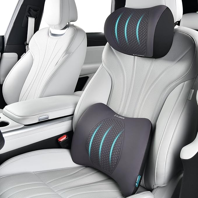 Lumbar Support with Car headrest Back Pillow for Chair Headrest Pillow with Gel Memory Foam Massage Point Memory Foam Back Pillow for Office Chair(Grey) by FLORICH