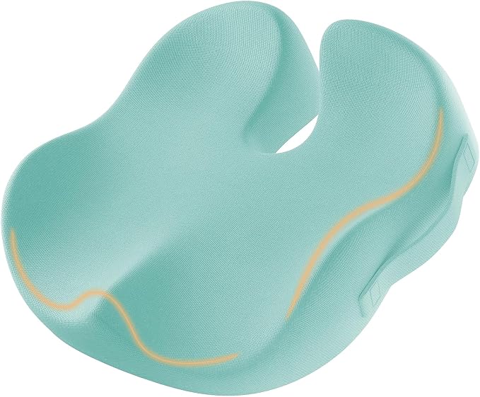 ProtoArc Seat Cushion, Office Chair Cushion for Sciatica, Mint Green | Coccyx Cushion, Ergonomic Memory Foam Seat Cushion for Car, Home, Pressure Relief Pad for Hip, Tailbone, All Day Comfort by ProtoArc