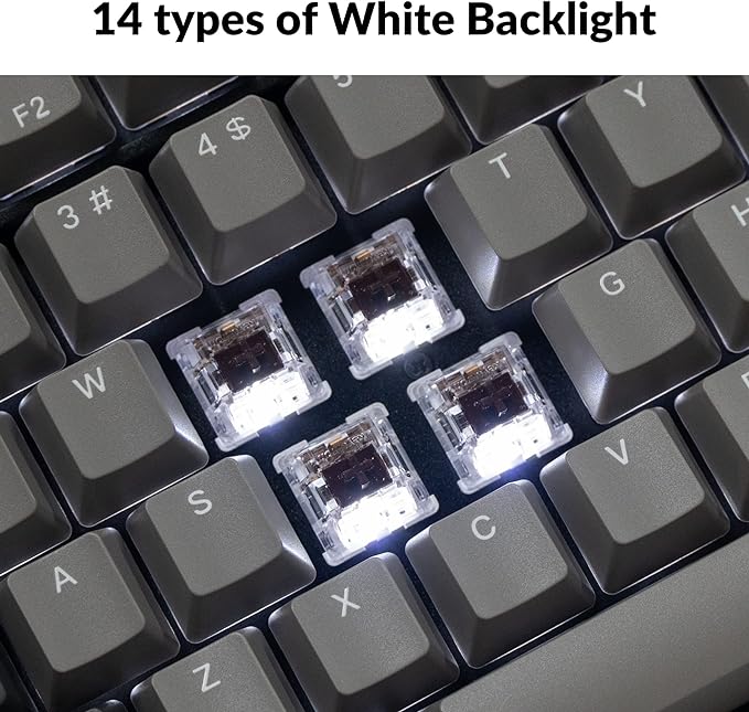 Keychron C2 Pro Wired Custom Mechanical Keyboard Full Size Layout QMK/VIA Programmable Macro White Backlit with Tactile Brown Switch OEM Profile Double-Shot PBT Keycaps for Mac Windows Linux - Image 3