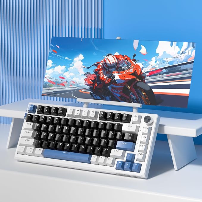 MageGee SKY81 75% Wireless Gasket Mechanical Gaming Keyboard, Hot Swappable RGB Custom Creamy Keyboard w/ 5-Layer Padding, BT/2.4G/USB-C, Knob Control, NKRO for Win/Mac (Mecha, Blue Whale Switch) - Image 7