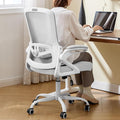 Ergonomic Office Chair Desk Chair with Adjustable Lumbar Support | Mesh Computer Chair Home Office Desk Chair with Flip-up Armrests Executive Task Chair Comfy Mesh Gaming Chair(Gray) by NexthroOfficeChair