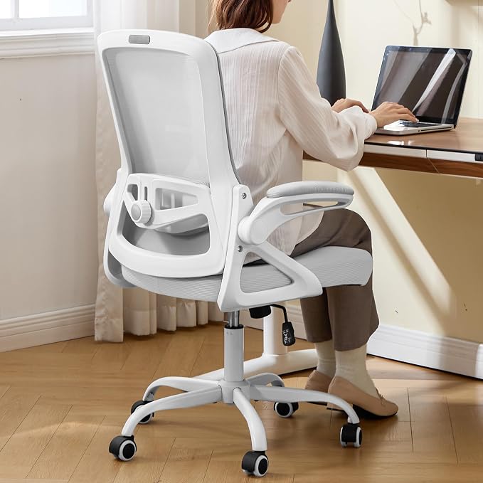 Ergonomic Office Chair Desk Chair with Adjustable Lumbar Support | Mesh Computer Chair Home Office Desk Chair with Flip-up Armrests Executive Task Chair Comfy Mesh Gaming Chair(Gray) by NexthroOfficeChair