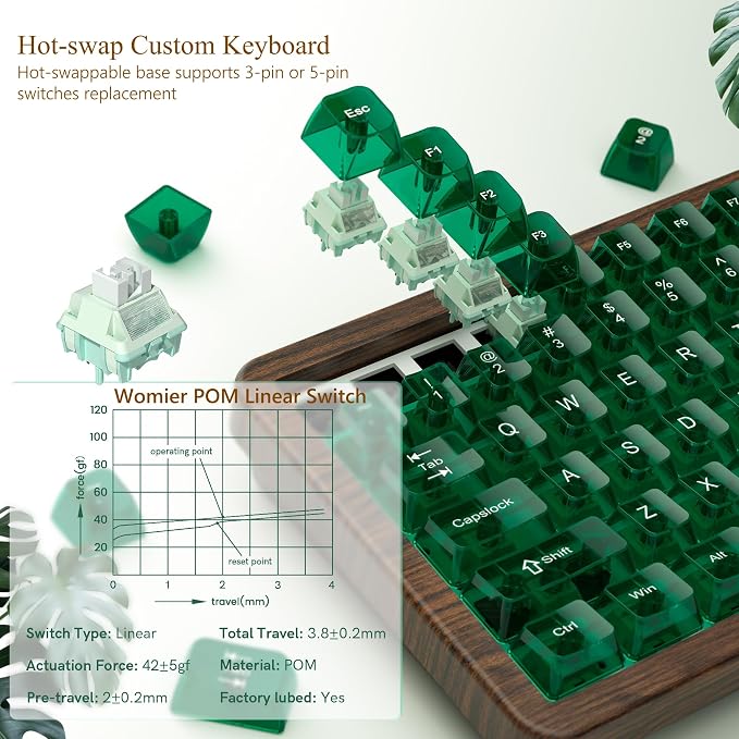 Womier 75% Wireless Creamy Keyboard with Wood Shell, QMK/VIA WD75 V2 - Image 4