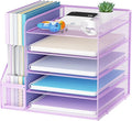Marbrasse Desk Organizers and Accessories, 5-Tier Paper Letter Tray Organizer with File Holder, Mesh File Organizer, Office Desk Accessories & Organization for Supplies (Purple) by Marbrasse