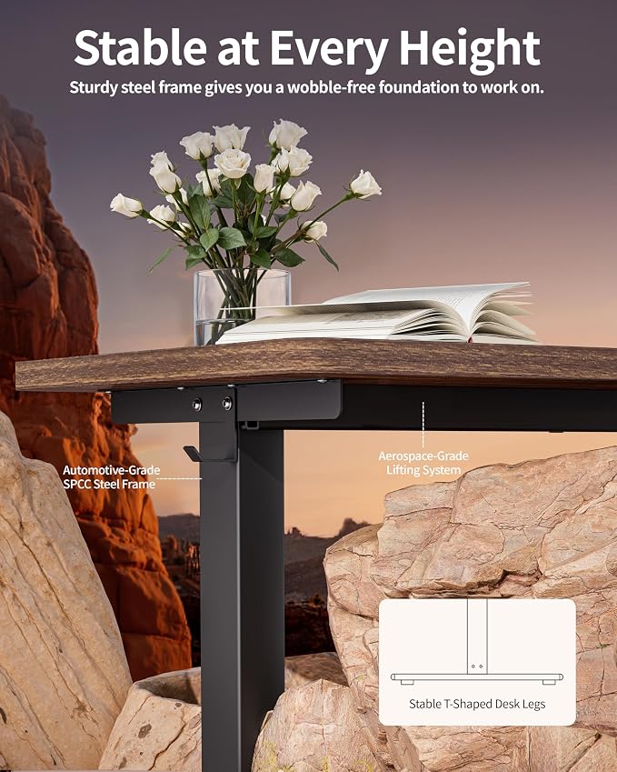 BIZUM Standing Desk Electric Adjustable Computer Desk-Stand up Desk Office Gaming Home Office Memory Desks 48x24 inches Wild Walnut - Image 5