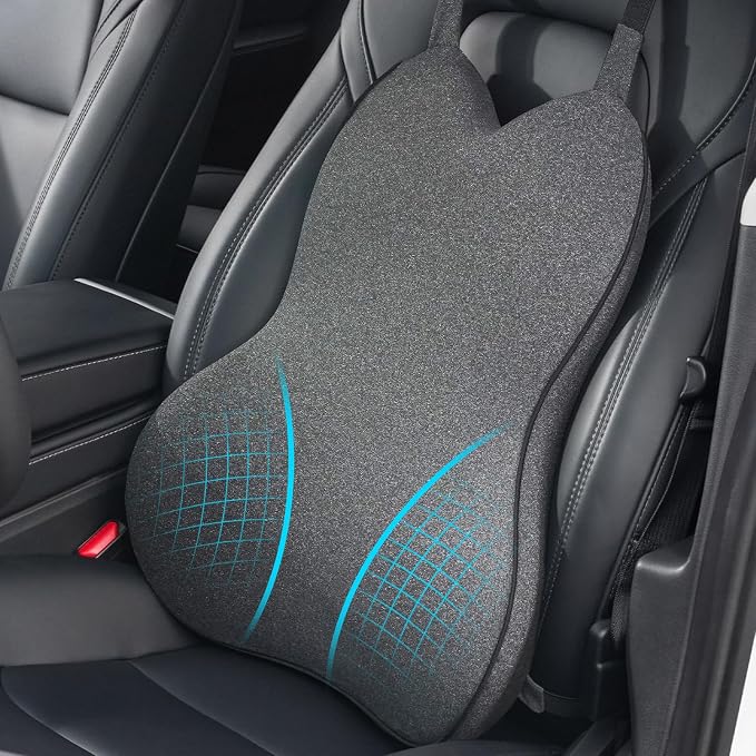 Lumbar Support Pillow for Car – Memory Foam Whole Back Relief | Adjustable Straps, Washable Cover, Anti-Slip – Daily Commute & Long Trips – 16.9"x20.9"(2.4" Thin) – Trusted by Pro Drivers by DreamerCar