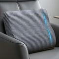 Lumbar Support Pillow for Recliner Chair/Accent Chair/Couch, Washable Cover | Large Memory Foam Back Support Cushion for Elderly, Ergonomic Backrest Pillow for Back Rest/Pain Relief/Reading, Gray by Unknown