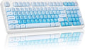 ZORNHER ZH980 Foundation Wireless Mechanical Keyboard,95% Blue Creamy Keyboard with Number Pad,Hot-Swappable Gaming Keyboard,Jelly Keycaps,Creamy Sounding Linear Switches,Hot-Swappable,Full Size by Zornher