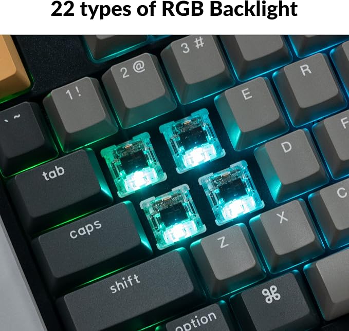 Keychron C2 Pro Wired QMK/VIA Mechanical Keyboard Full Size Layout Custom Programmable Macro RGB Backlit with Keychron K Pro Brown Switch OEM Profile Double-Shot PBT Keycaps for Mac Windows Linux - Image 3